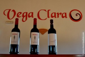 Bodega Vega Clara gamma