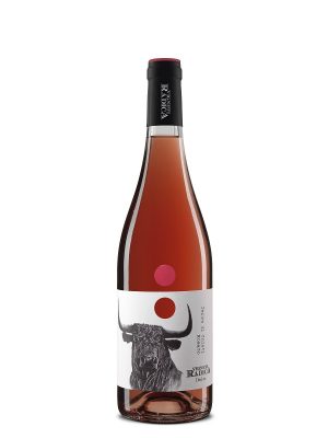 Rosato D'Abruzzo €10,30